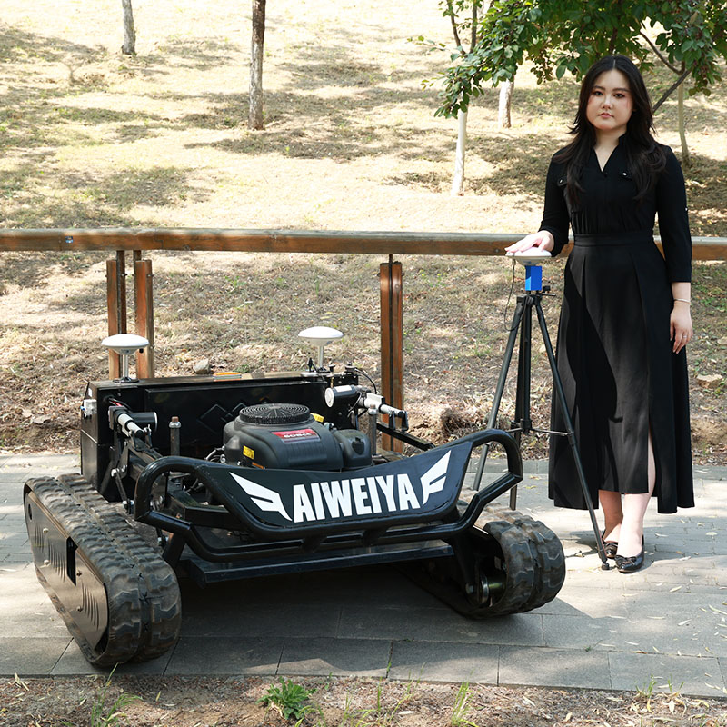 カスタマイズ可能な新型電動芝刈り機、ハイパワー手押し式草刈り - Power Tools Professional のレビューと価格